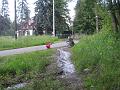 wisniowy sad 19